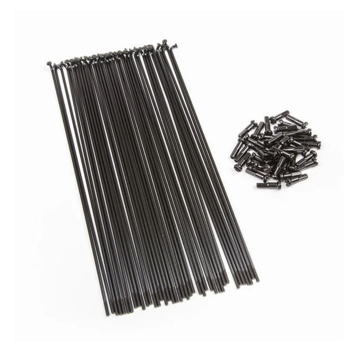 BSD Spokes & Nipples